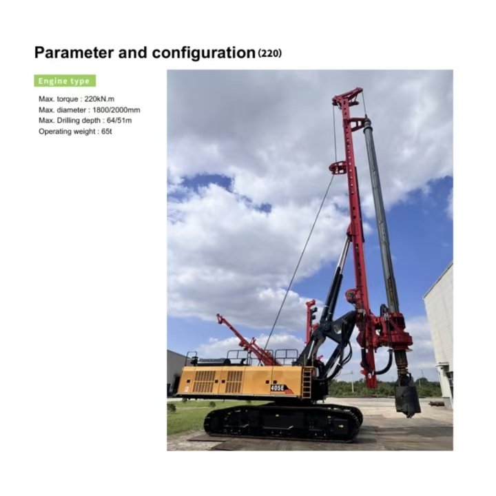 Rotary drilling rig 220
